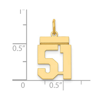 14k Yellow Gold Small Polished Number 51 Charm LS51