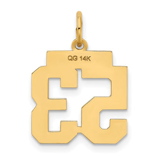 14k Yellow Gold Small Polished Number 53 Charm LS53