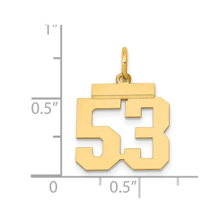 14k Yellow Gold Small Polished Number 53 Charm LS53