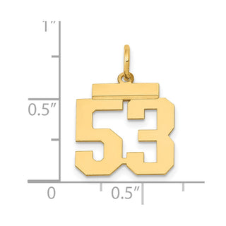 14k Yellow Gold Small Polished Number 53 Charm LS53