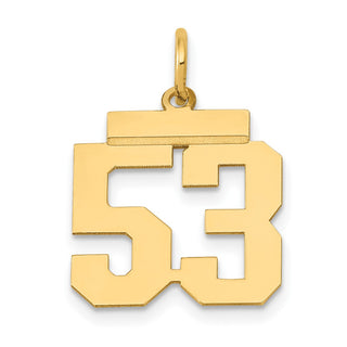 14k Yellow Gold Small Polished Number 53 Charm LS53