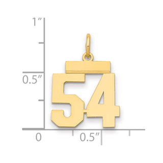14k Yellow Gold Small Polished Number 54 Charm LS54