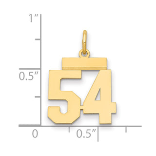 14k Yellow Gold Small Polished Number 54 Charm LS54