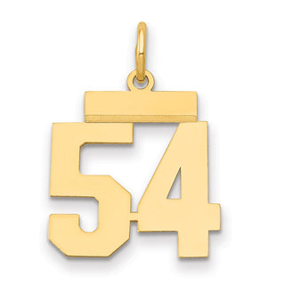 14k Yellow Gold Small Polished Number 54 Charm LS54