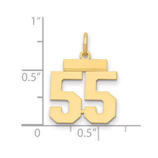14k Yellow Gold Small Polished Number 55 Charm LS55