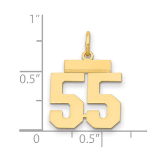 14k Yellow Gold Small Polished Number 55 Charm LS55