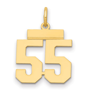 14k Yellow Gold Small Polished Number 55 Charm LS55