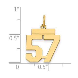 14k Yellow Gold Small Polished Number 57 Charm LS57