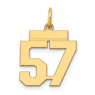 14k Yellow Gold Small Polished Number 57 Charm LS57
