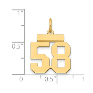 14k Yellow Gold Small Polished Number 58 Charm LS58