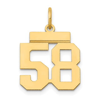 14k Yellow Gold Small Polished Number 58 Charm LS58