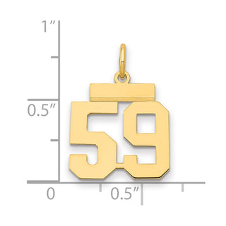 14k Yellow Gold Small Polished Number 59 Charm LS59