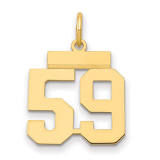 14k Yellow Gold Small Polished Number 59 Charm LS59