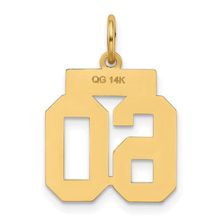 14k Yellow Gold Small Polished Number 60 Charm LS60