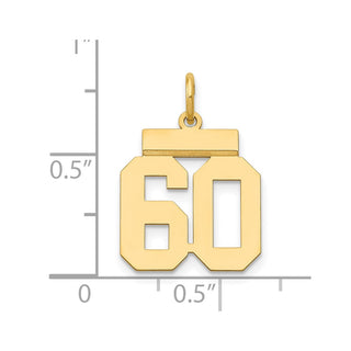 14k Yellow Gold Small Polished Number 60 Charm LS60
