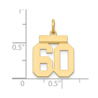 14k Yellow Gold Small Polished Number 60 Charm LS60
