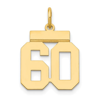 14k Yellow Gold Small Polished Number 60 Charm LS60