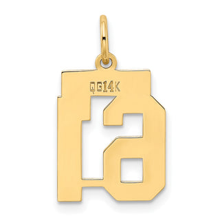 14k Yellow Gold Small Polished Number 61 Charm LS61
