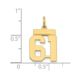 14k Yellow Gold Small Polished Number 61 Charm LS61