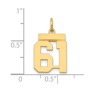 14k Yellow Gold Small Polished Number 61 Charm LS61
