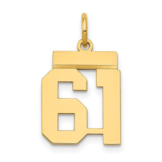 14k Yellow Gold Small Polished Number 61 Charm LS61