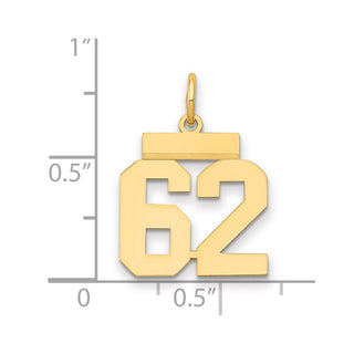 14k Yellow Gold Small Polished Number 62 Charm LS62