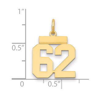 14k Yellow Gold Small Polished Number 62 Charm LS62