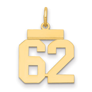 14k Yellow Gold Small Polished Number 62 Charm LS62