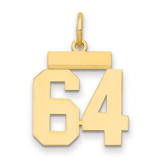 14k Yellow Gold Small Polished Number 64 Charm LS64