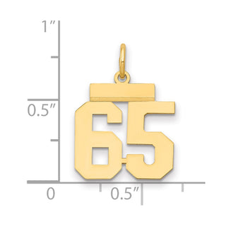 14k Yellow Gold Small Polished Number 65 Charm LS65