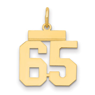 14k Yellow Gold Small Polished Number 65 Charm LS65