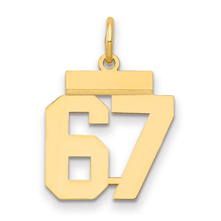 14k Yellow Gold Small Polished Number 67 Charm LS67