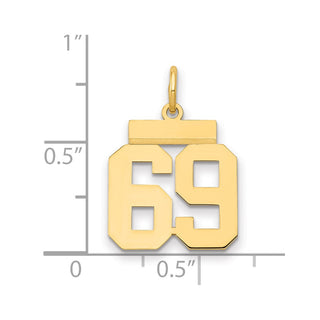 14k Yellow Gold Small Polished Number 69 Charm LS69