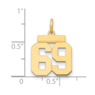 14k Yellow Gold Small Polished Number 69 Charm LS69