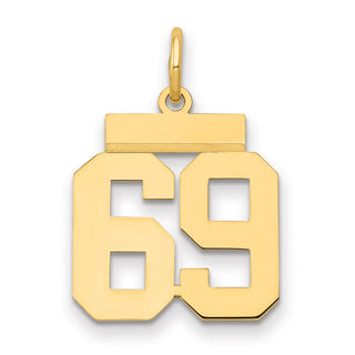 14k Yellow Gold Small Polished Number 69 Charm LS69