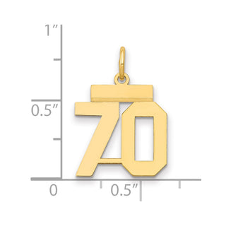 14k Yellow Gold Small Polished Number 70 Charm LS70