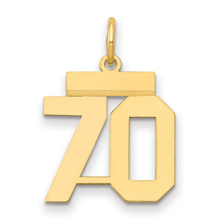 14k Yellow Gold Small Polished Number 70 Charm LS70