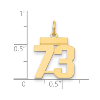 14k Yellow Gold Small Polished Number 73 Charm LS73