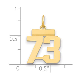 14k Yellow Gold Small Polished Number 73 Charm LS73