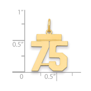 14k Yellow Gold Small Polished Number 75 Charm LS75