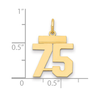 14k Yellow Gold Small Polished Number 75 Charm LS75