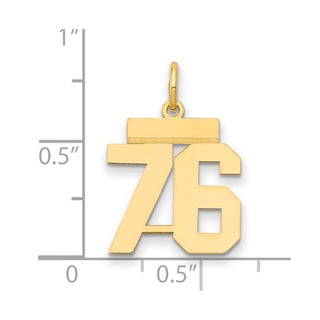 14k Yellow Gold Small Polished Number 76 Charm LS76