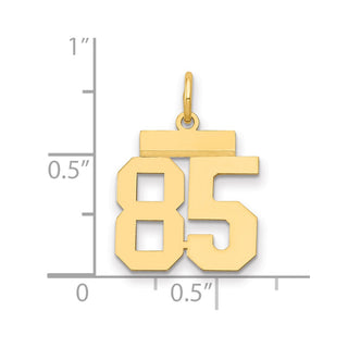 14k Yellow Gold Small Polished Number 85 Charm LS85