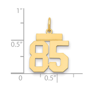 14k Yellow Gold Small Polished Number 85 Charm LS85