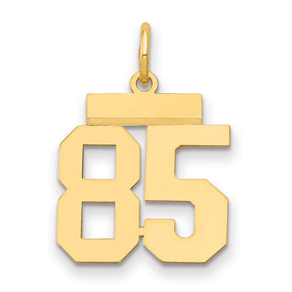 14k Yellow Gold Small Polished Number 85 Charm LS85