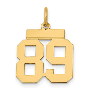 14k Yellow Gold Small Polished Number 89 Charm LS89