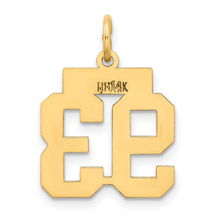 14k Yellow Gold Small Polished Number 93 Charm LS93
