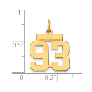 14k Yellow Gold Small Polished Number 93 Charm LS93
