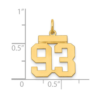 14k Yellow Gold Small Polished Number 93 Charm LS93