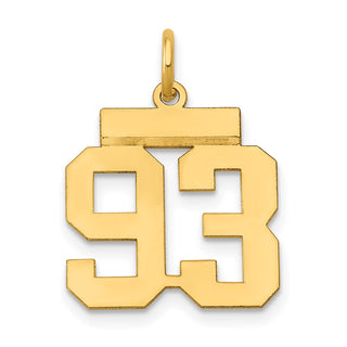 14k Yellow Gold Small Polished Number 93 Charm LS93
